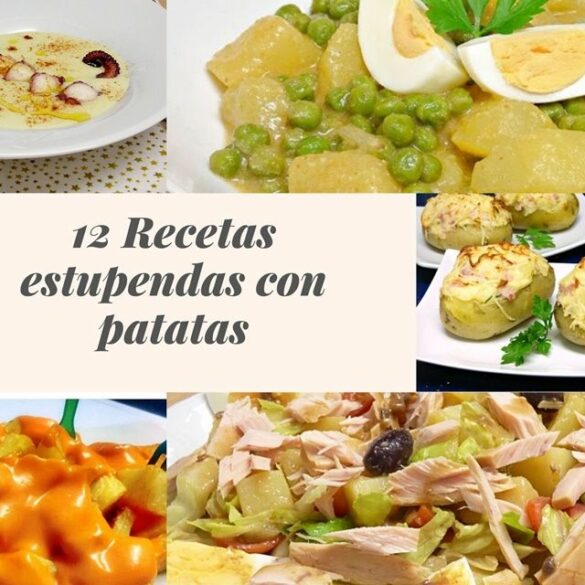 Recetas Con Calabacín Que No Te Puedes Perder - Mis Cosillas De Cocina